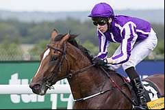 Highland Reel