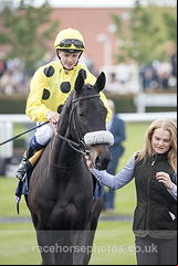 Horseplay