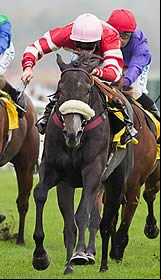 Mecca's Angel