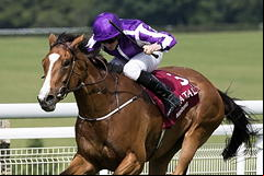 Minding and Ryan Moore