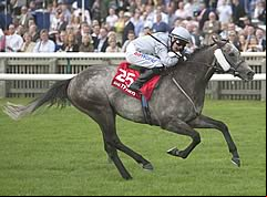 Prince Of Johanne