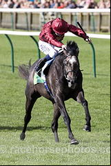 Roaring Lion