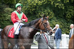 Sevenna Star