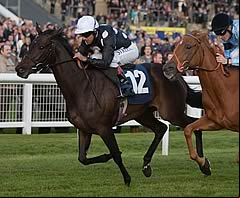 Shirocco Star