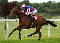 Sir Prancealot