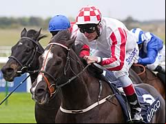 Sole Power