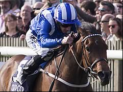 Taghrooda