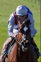 Toronado