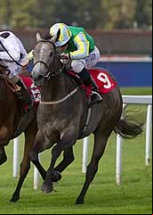 Winning Express