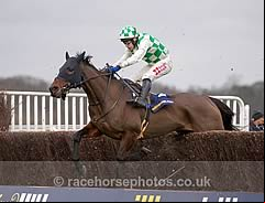 Ballynagour