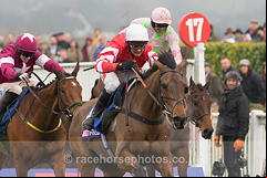 Coneygree