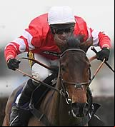 Faugheen