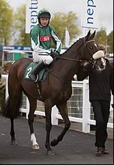 Court Minstrel