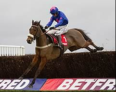 Cue Card