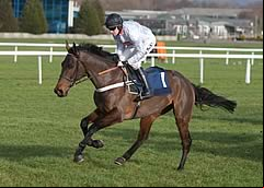 Finian's Rainbow