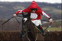Foxtail Hill