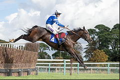 Frodon