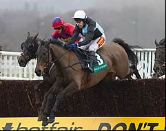 Massini’s Maguire
