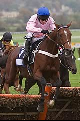 Royal Irish Hussar