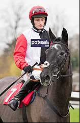Saphir Du Rheu