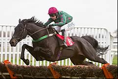 Sgt Reckless