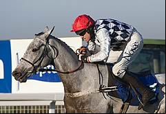 Simonsig