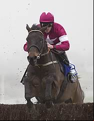 Sir Des Champs