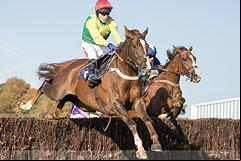 Sizing Tennessee