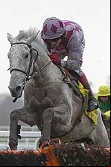 Smad Place