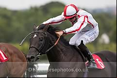 Who Dares Wins