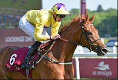Sea Of Class