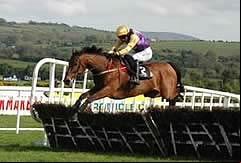 Brave Inca