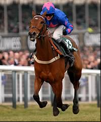 Cue Card