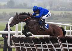 Hurricane Fly