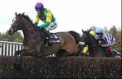 Kauto Star and Mick Fitzgerald