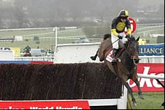 Mister McGoldrick