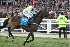 Sizing Europe