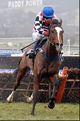 The Giant Bolster