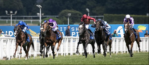 Racehorse Photos