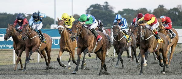 Racehorse Photos