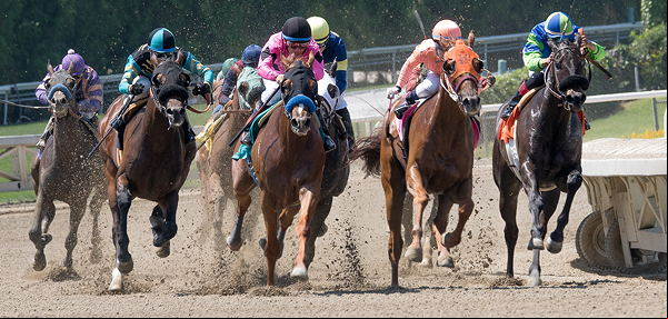 horseracing