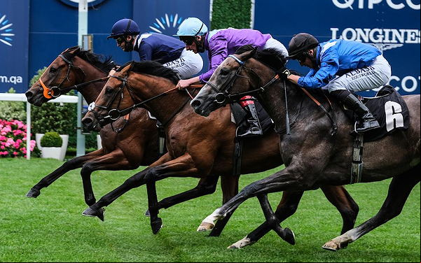 Horse racing