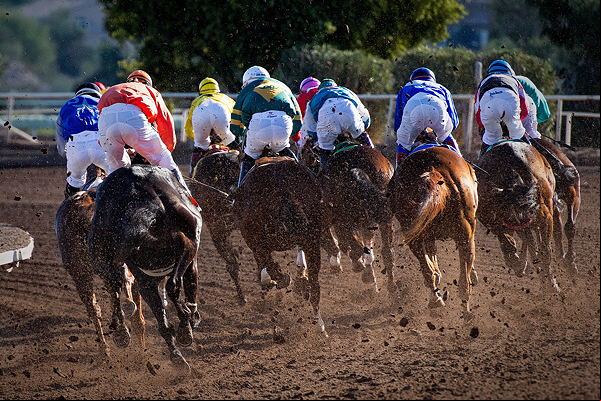 horse race