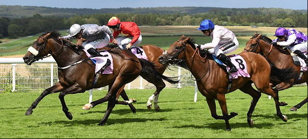 horse race