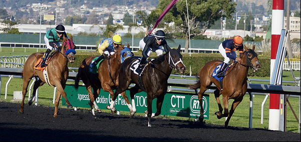 Horse race