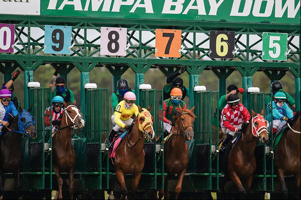 Horse race