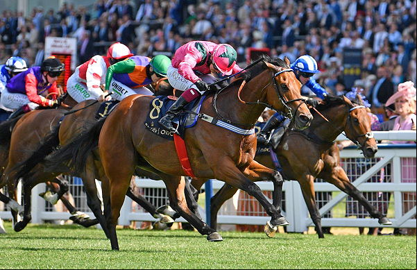 horse race