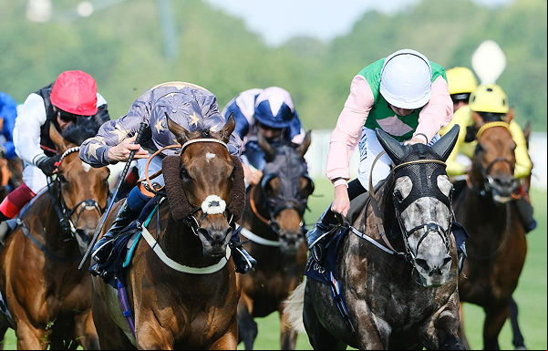 horse race