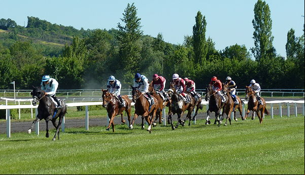 horse race