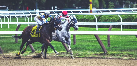 horse race
